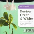 Stash Fusion Green & White Tea Bags