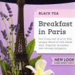 Stash Breakfast in Paris Tea Bags